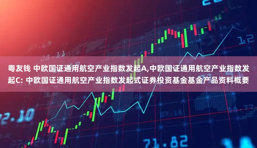 粤友钱 中欧国证通用航空产业指数发起A,中欧国证通用航空产业指数发起C: 中欧国证通用航空产业指数发起式证券投资基金基金产品资料概要